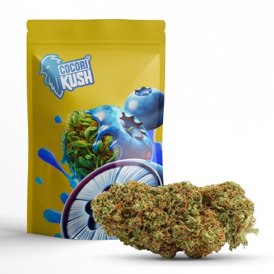 BLUEBERRY MUFFIN CBD