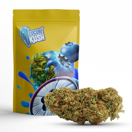 BLUEBERRY MUFFIN CBD