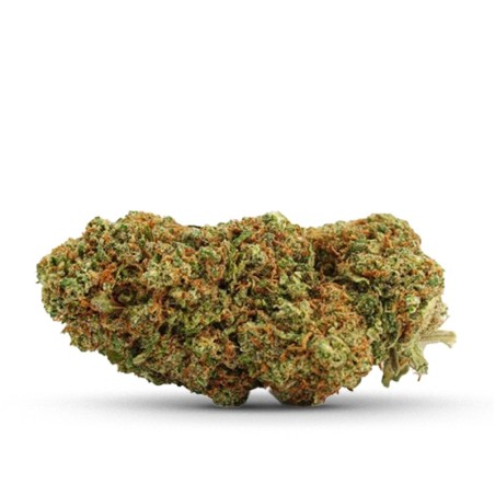 BLUEBERRY CBD PUISSANT