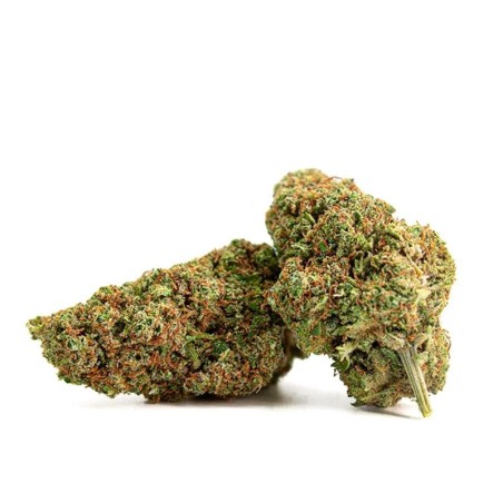 BLUEBERRY MUFFIN CBD PAS CHER