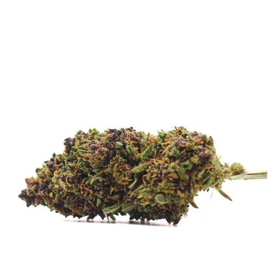 PURPLE PUNCH PUISSANT PURPLE PUNCH PUISSANT