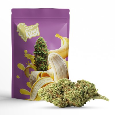Banana kush cbd PUISSANT Banana kush cbd PUISSANT