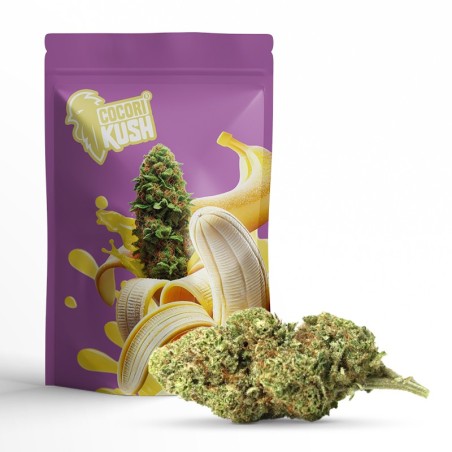 Banana kush cbd PUISSANT