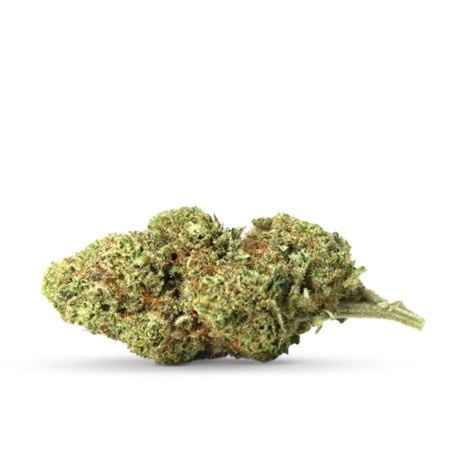 BUD CBD BANANA KUSH PAS CHER