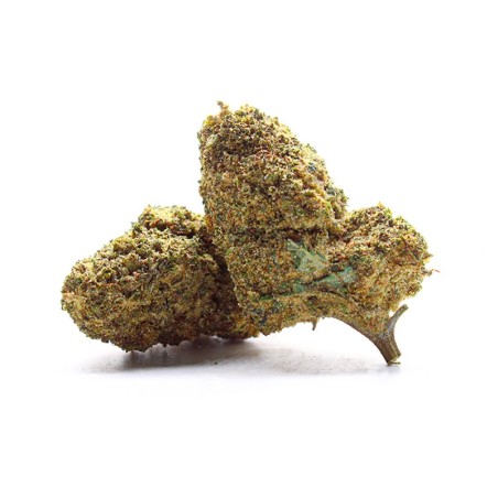 FLEUR CBN+ PAS CHER