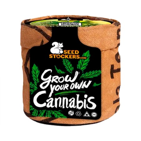 KIT DE CULTURE CRITICAL XXL AUTO