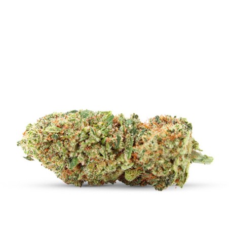 GMO COOKIE BUD CBD
