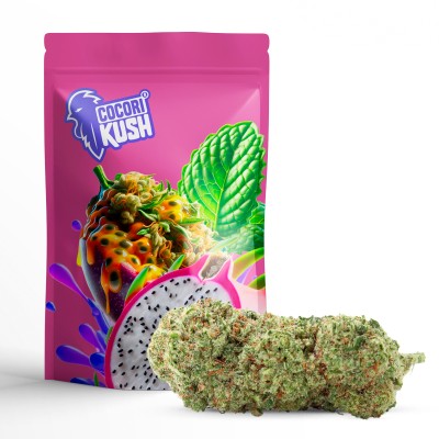 EXOTIC HAZE BUD CBD EXOTIC HAZE BUD CBD
