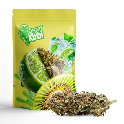 BLACK DOMINA CBD PAS CHER