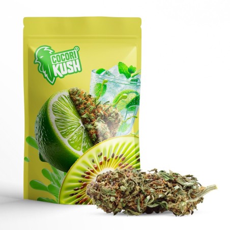 BLACK DOMINA CBD PAS CHER