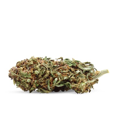 BLACK DOMINA BUD CBD