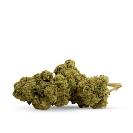 CANDY KUSH CBD PAS CHER