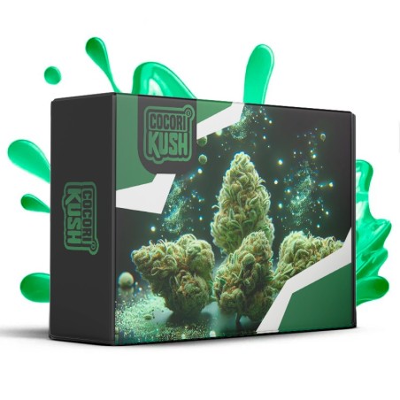 Box CBN+ Pour Remplacer le HHC