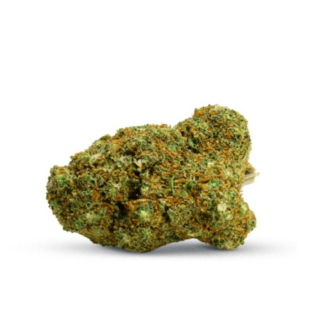 Fleur CBD Hollywood de chez Cookies - Grossiste CBD Cookies