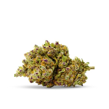 TEQUILA SUNRISE CBD - COOKIES USA