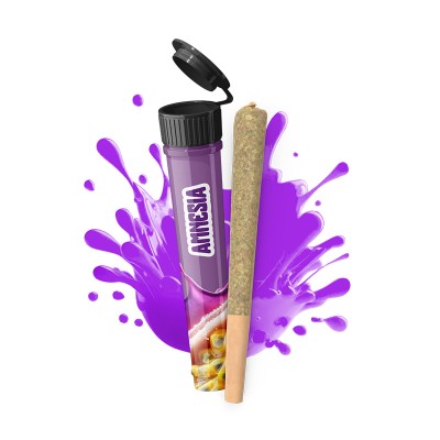 Infustick pré-roulé Amnesia CBD Infustick pré-roulé Amnesia CBD