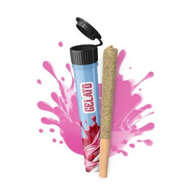 Infustick pré-roulé Gelato CBD Infustick pré-roulé Gelato CBD