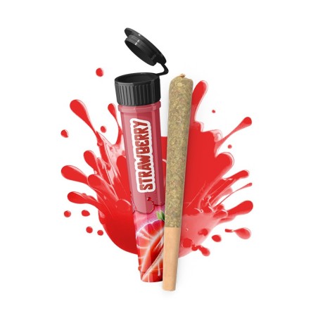 Infustick pré-roulé Strawberry CBD