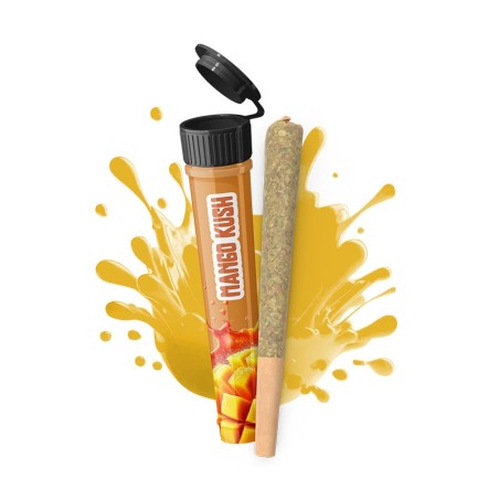 Infustick pré-roulé Mango Kush CBD