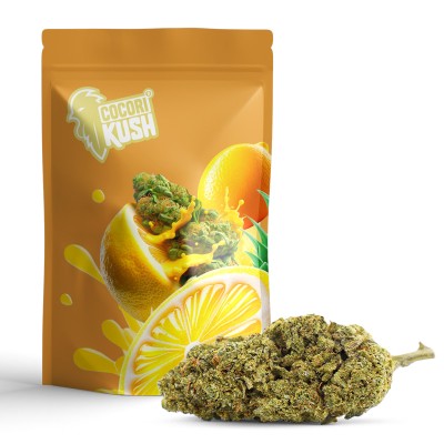 Fleur CBD Lemon Splatch