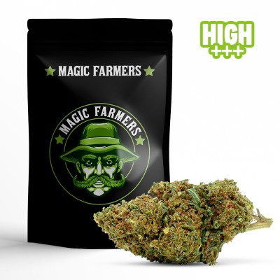 WAKE AND BACK 10-OH-HHC