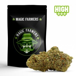 BLUE MANGO 10-OH-HHC PUISSANT