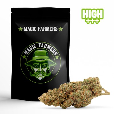 WEEDY WONKA FLEUR 10-OH-HHC WEEDY WONKA FLEUR 10-OH-HHC