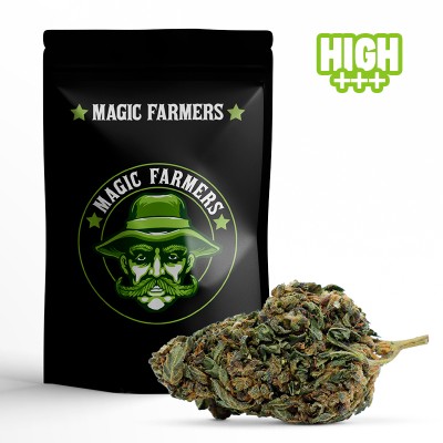 CHOCOLATA SKUNK 10-OH-HHC