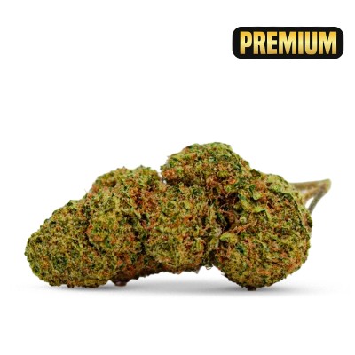 NORTH THUNDERFUCK CBD