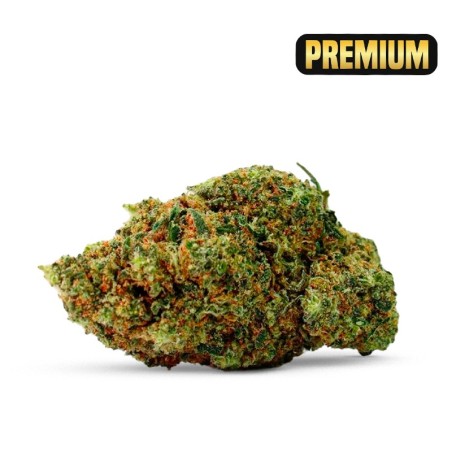 FLEURS CALIFORNIENNES