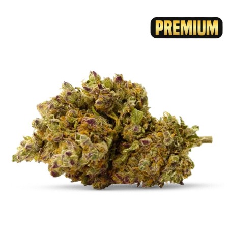 ROYAL GORILLA CBD CALIFORNIENNES