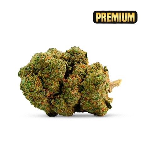 FLEURS CALIFORNIENNES CBD