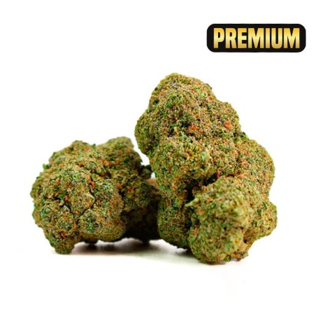 MANGO TANGO CBD PUISSANT