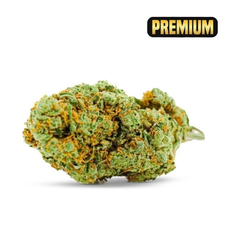 MARLEY KUSH CBD PUISSANT MEILLEUR CBD