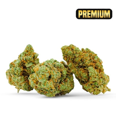 MARLEY KUSH CBD PAS CHER