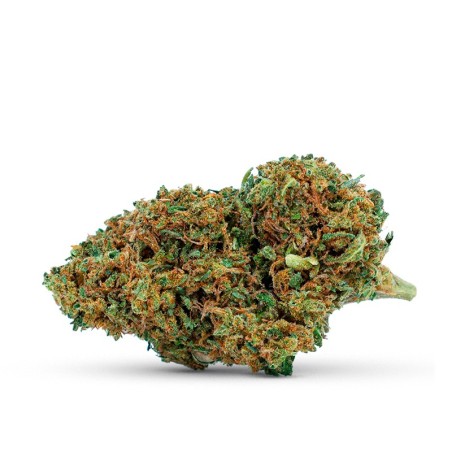 Fleur  CBD fruitée