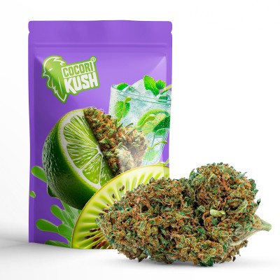 GREEN MOJITO CBD FLEUR CBD GREEN MOJITO CBD FLEUR CBD