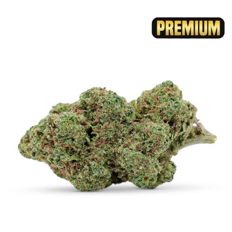 FLEUR CALIFORIENNE CBD