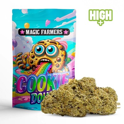 Fleur CBN+ PUISSANTE COOKIE DOUGH Fleur CBN+ PUISSANTE COOKIE DOUGH