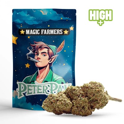 PETER PAN FLEUR CBN+ PUISSANTE PETER PAN FLEUR CBN+ PUISSANTE