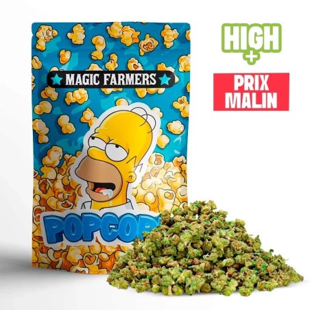 POP CORN FLEUR CBN+ PAS CHERE