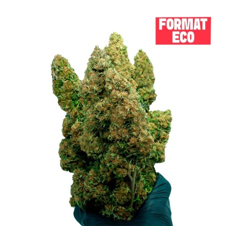 CBD FORMAT ECONOMIQUE A MANUCURER