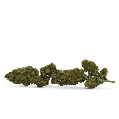 FLEUR CBD SUR TIGE FLEUR CBD SUR TIGE