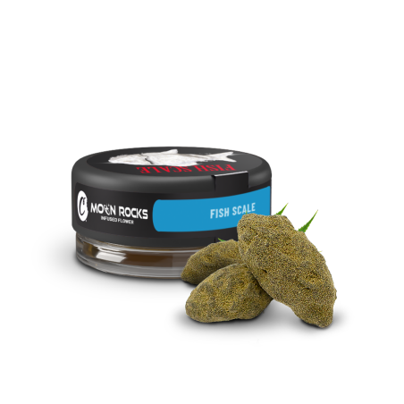 Moon Rock Fish Scale 10-OH