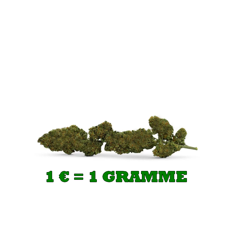 1 gramme chaque €