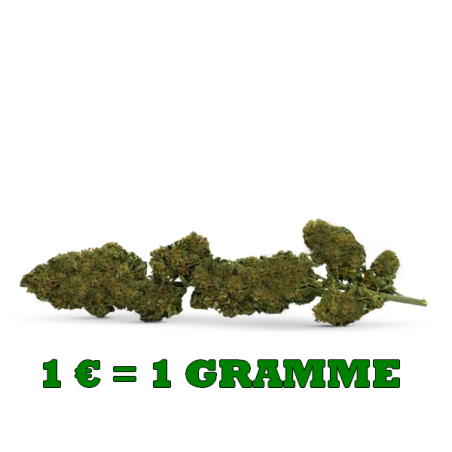 1 gramme chaque €