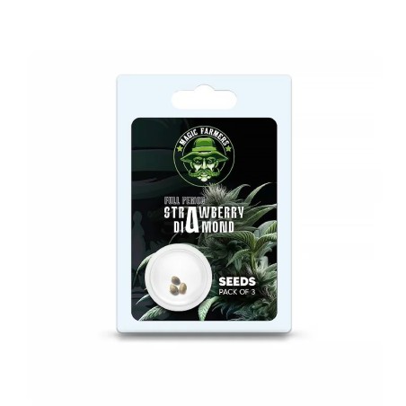 Graine de cannabis