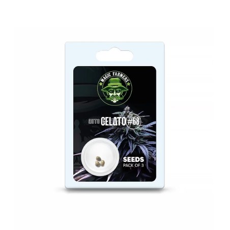 Acheter graines THC Gelato