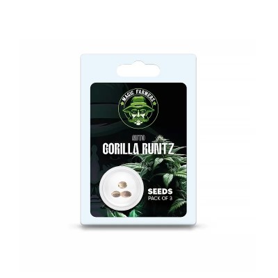 Graine de cannabis THC pas cher Graine de cannabis THC pas cher