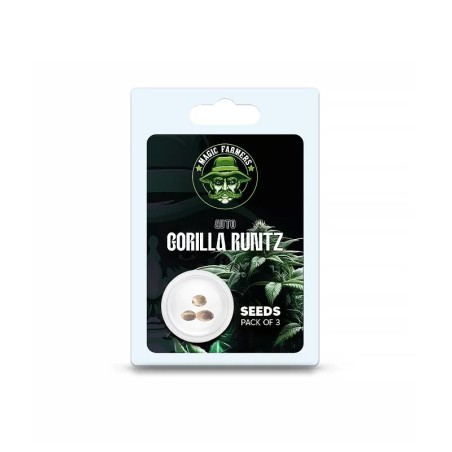 Graine de cannabis THC pas cher